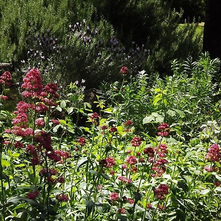 Backyard Garden Oasis Bed & Breakfast Middletown Екстериор снимка
