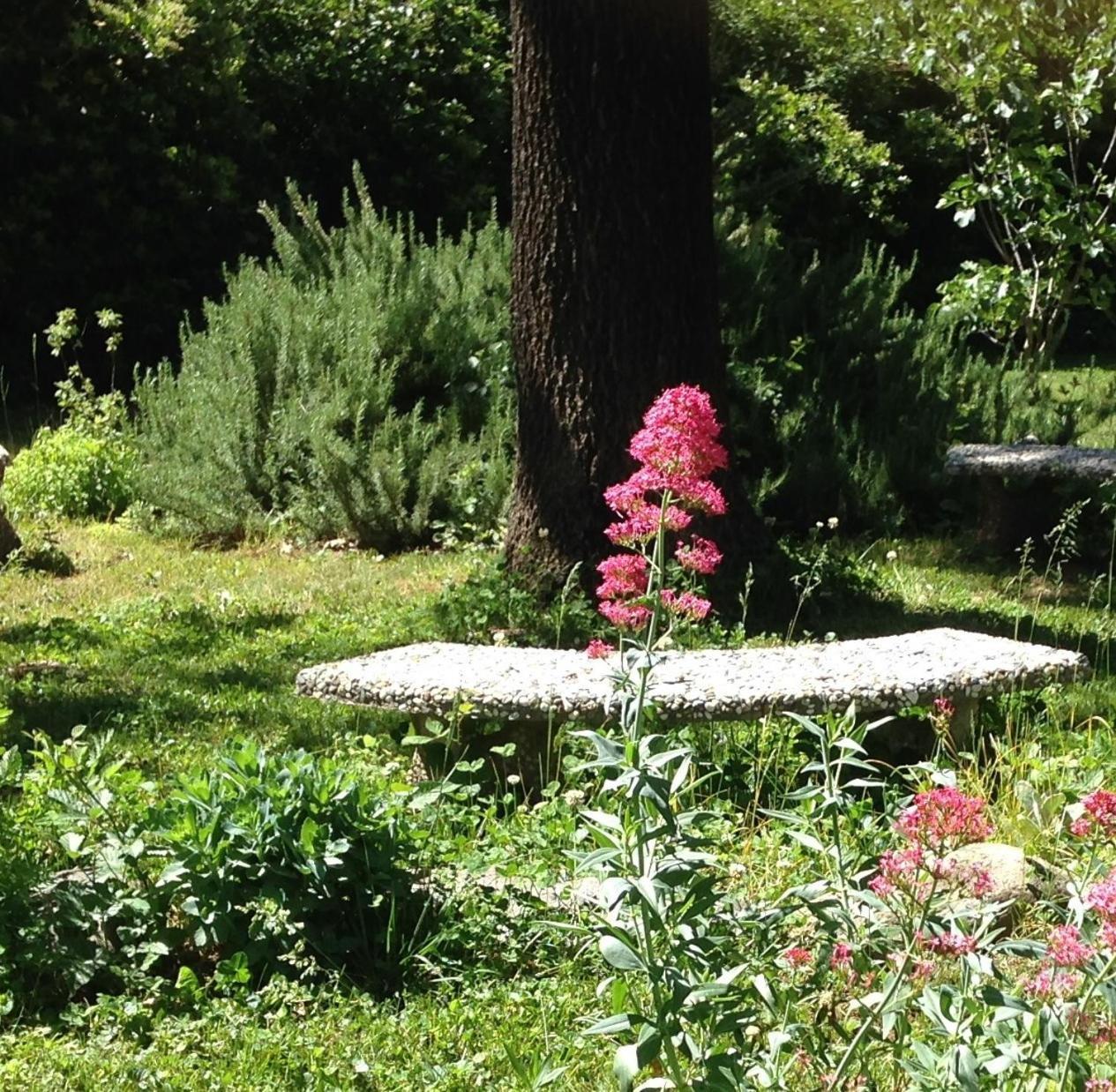 Backyard Garden Oasis Bed & Breakfast Middletown Екстериор снимка