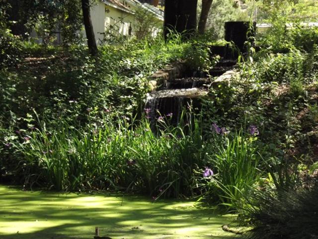 Backyard Garden Oasis Bed & Breakfast Middletown Екстериор снимка
