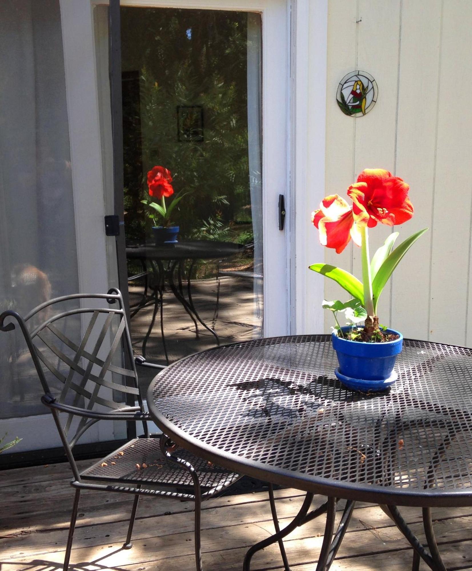 Backyard Garden Oasis Bed & Breakfast Middletown Екстериор снимка
