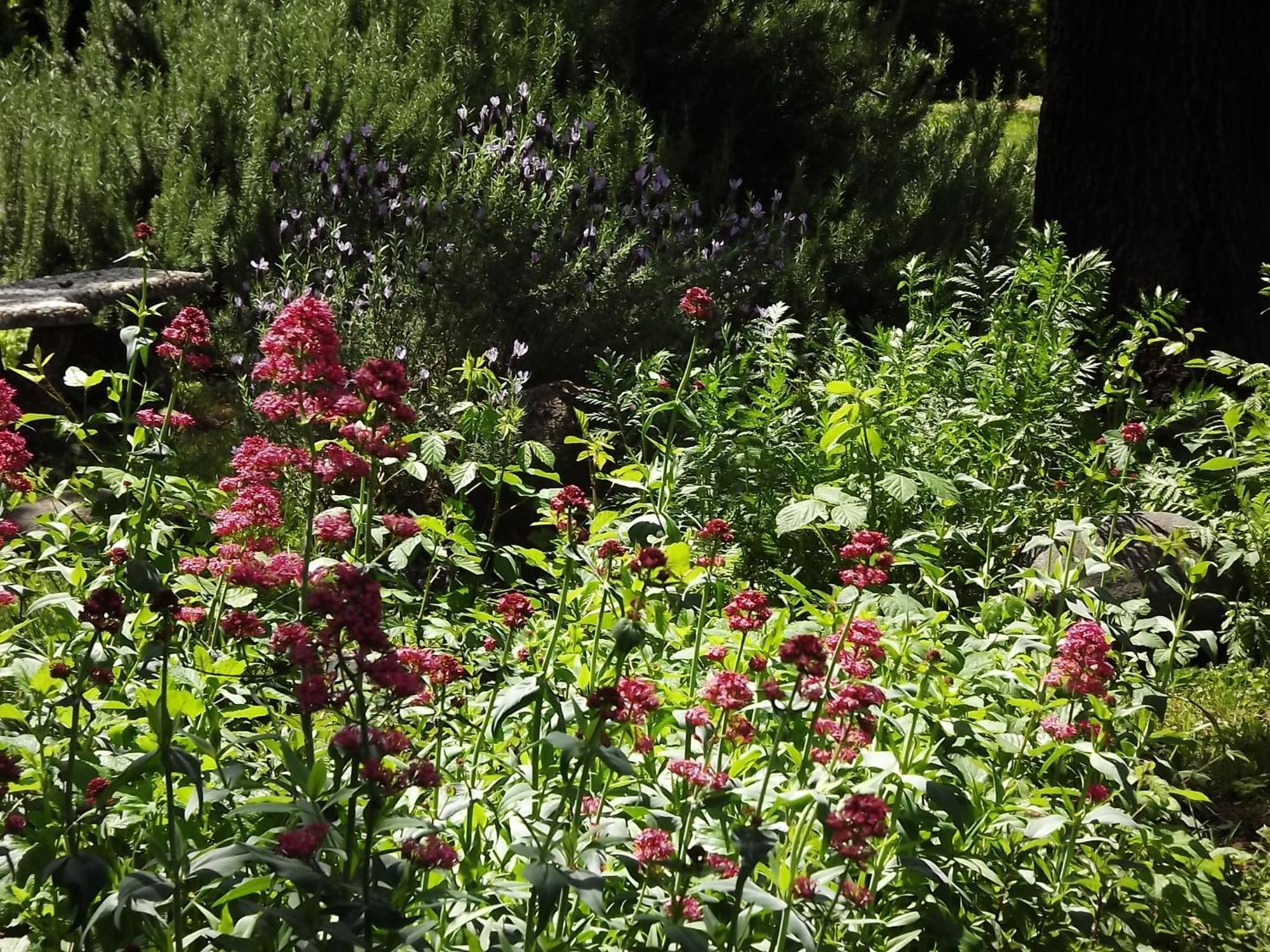 Backyard Garden Oasis Bed & Breakfast Middletown Екстериор снимка