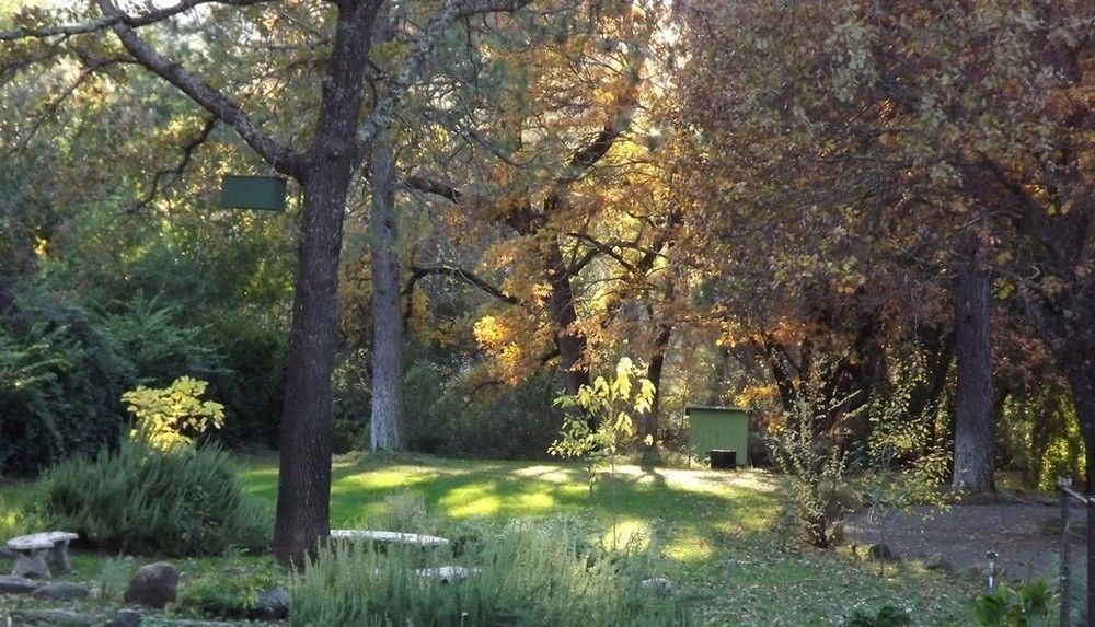 Backyard Garden Oasis Bed & Breakfast Middletown Екстериор снимка