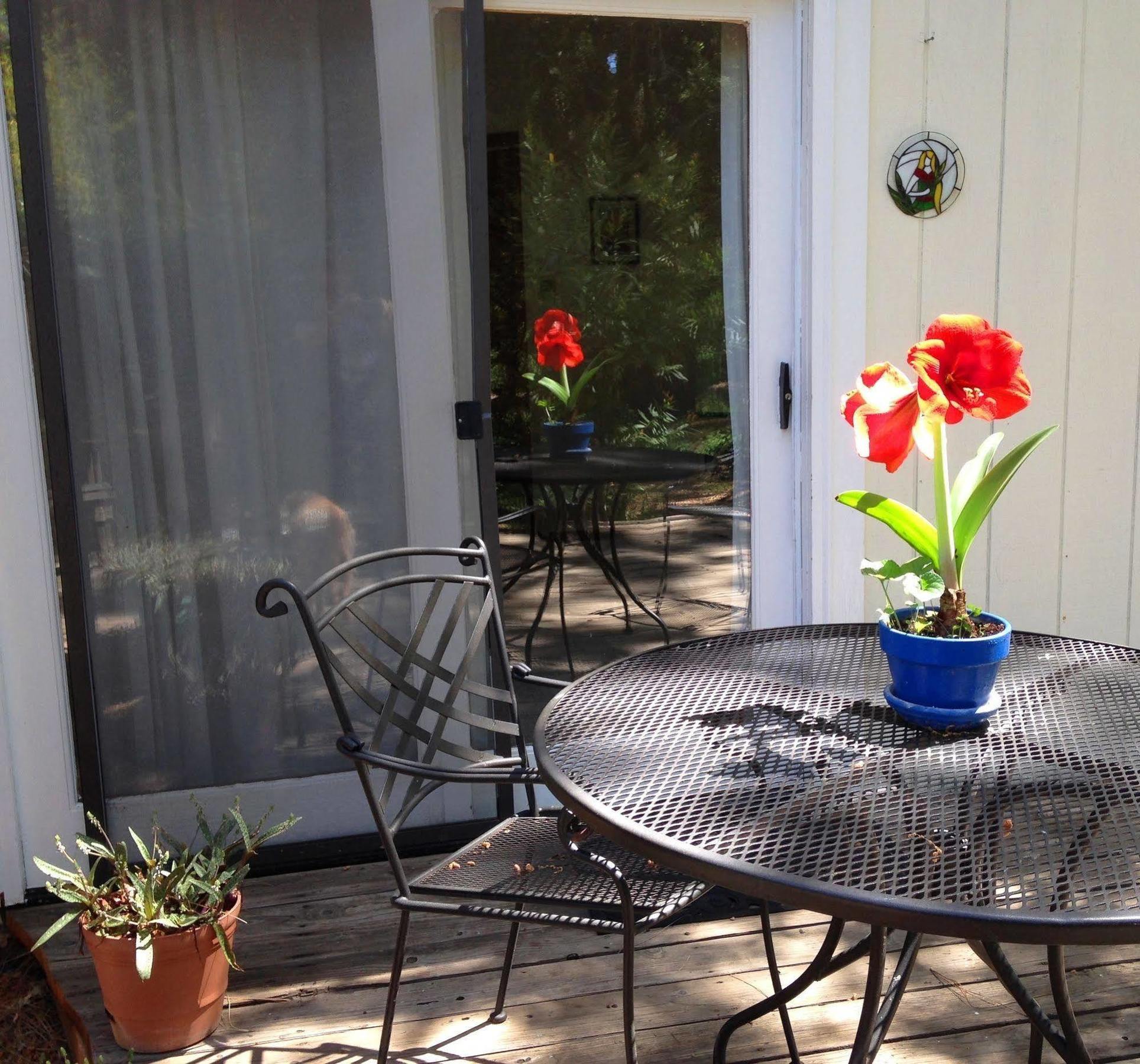 Backyard Garden Oasis Bed & Breakfast Middletown Екстериор снимка