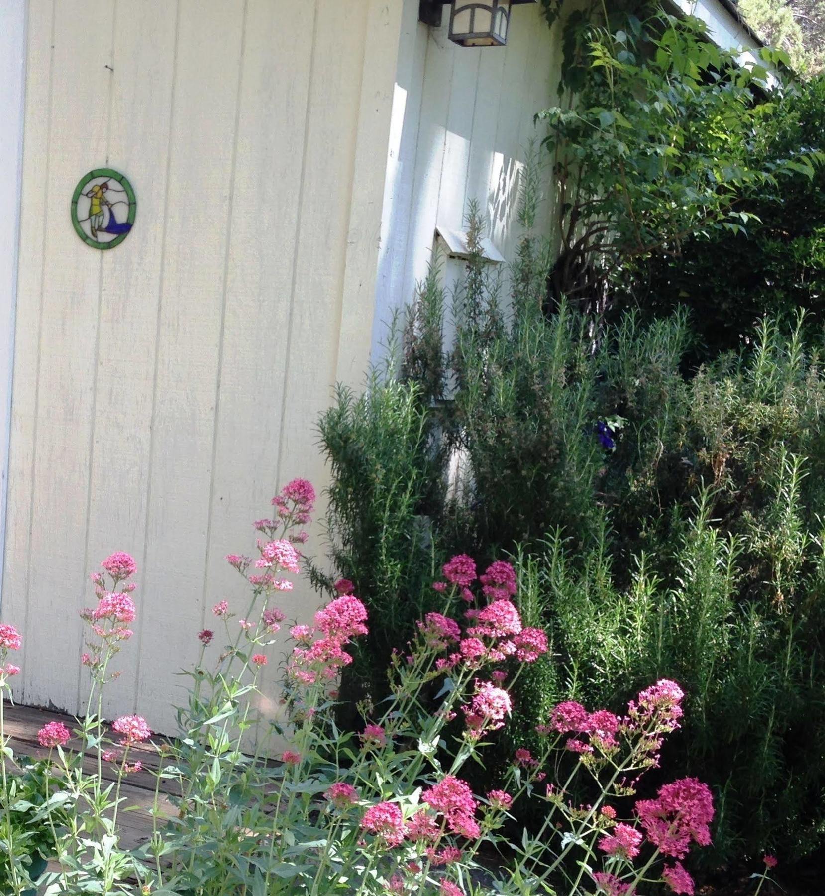 Backyard Garden Oasis Bed & Breakfast Middletown Екстериор снимка